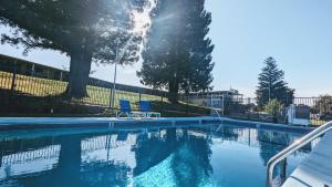 a swimming pool with two blue chairs next to it at Foothills Motel in Auburn
