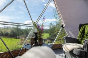Aed väljaspool majutusasutust Aera - Glass cabins