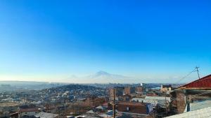 埃里温Noah's sunlight villa hostel的享有以山为背景的城市美景