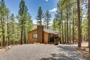 a house in the middle of a forest at Cozy Cabin in Greer Hike, Bike and Ski! in Greer