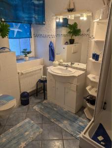 Ένα μπάνιο στο Ferienwohnung Reinhardt Steinhübel