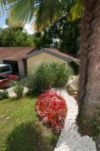 Apartments Ana في أوباتيا: حديقة بها زهور وردية في الفناء