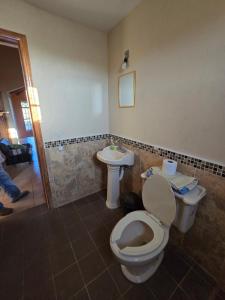 a bathroom with a toilet and a sink at Cabaña el Pino in Penche Chico