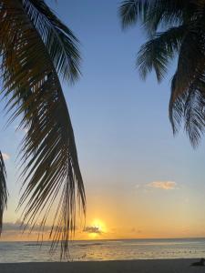 a sunset on the beach with two palm trees at Casa Mano Juan in Mano Juan