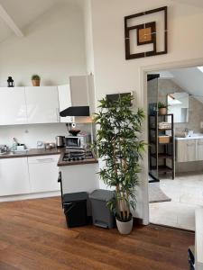 Kuchyň nebo kuchyňský kout v ubytování Historical Centre in the Heart of Brussels