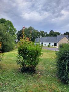 a house in a field with a bush in the yard at 2p sur le golf de La Baule in Bilac