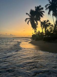 a sunset on a beach with palm trees on the shore at Flat 2 Marias in Maragogi