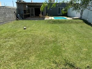 a yard with a soccer ball in the grass at El quincho in Villa María