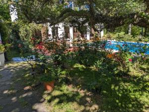 Κήπος έξω από το Casa Pura Vida