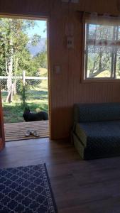 Un gatto nero steso su un portico che guarda fuori dalla porta di Cabañas Kapüra a Hornopiren