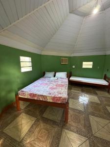 a bedroom with a bed in a green room at Pousada Araçá Adventure in Sao Pedro