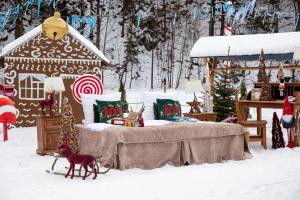 een slaapkamer met een bed en een hond in de sneeuw bij Hotel Kotarz Spa&Wellness in Brenna