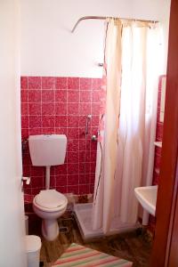 La salle de bains est pourvue de toilettes, d'une douche et d'un lavabo. dans l'établissement Asterias, à Koronisía