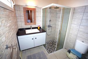 een badkamer met een wastafel en een douche bij Villa Amandine in Fort-de-France +12 foto's