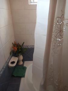 a bathroom with a toilet and a shower curtain at Casa Bela in Villa Carlos Paz