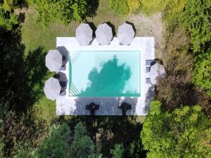 widok z powietrza na basen w lesie w obiekcie Holiday house in Montecastelli with garden w mieście Monte Castelli