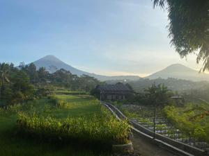 a view of a farm with mountains in the background at Moza House Wonosobo in Wonosobo