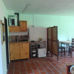 Η κουζίνα ή μικρή κουζίνα στο Departamento interno Excelente ubicación