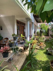 a porch with a bunch of potted plants at Moza House Near Alun-Alun Wonosobo in Wonosobo +15 photos