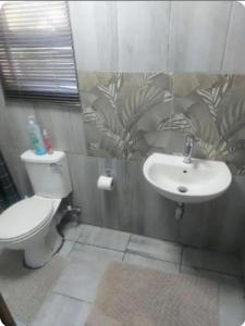 GqeberhaにあるRichmond Hill Guesthouse & Luxury Suitesのトイレと洗面台付きのバスルーム +49枚の写真