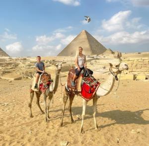 Majutusasutuse Pharaohs Oasis Hotel külastajad