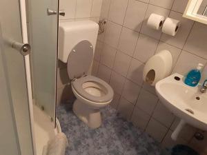 a bathroom with a toilet and a sink at Apartments Franka Saplunara-One-Bedroom Apartment with Terrace and Sea View No1 in Saplunara