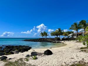 a sandy beach with palm trees and the ocean at Ti La Caze in Pereybere
