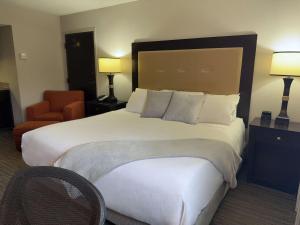 Gallery image of Branson Hillside Hotel in Branson +45 photos
