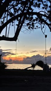 Gallery image of Turtle Hive - Velaa Vani in Dhiffushi