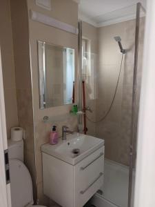 a bathroom with a toilet and a sink and a shower at apartament de inchiriat in loc Moinesti in Lucăceşti