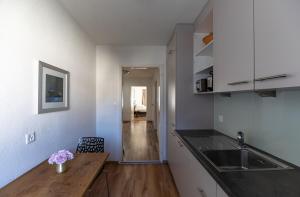 チューリッヒにある2BR flat close to lake, opera and city center - SF10のシンクと木製のカウンタートップを備えたキッチン +10枚の写真