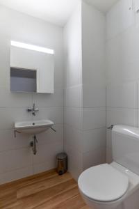 チューリッヒにある2BR flat close to lake, opera and city center - SF10のトイレと洗面台を備えた白いバスルーム