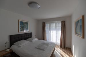 チューリッヒにある2BR flat close to lake, opera and city center - SF10の大きなベッドと窓のある寝室