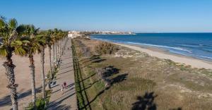an aerial view of a beach with palm trees at Apartment Laguna Azul in El Mojón