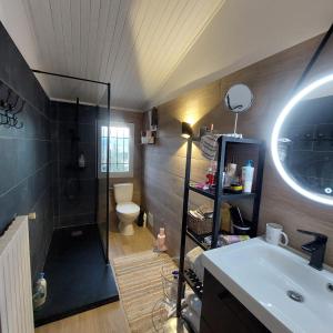 a bathroom with a shower and a sink and a toilet at Maison familiale à louer dans le Luberon in Dauphin