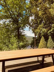 a wooden bench sitting in a park with trees at Le petit ours de Coo in Stavelot +39 photos