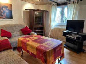 TV a/nebo společenská místnost v ubytování IFAM - Ihr Ferienhaus am Main