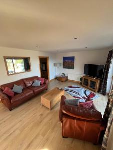 a living room with a couch and a tv at Mourne Coastal Guesthouse in Newcastle