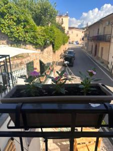 a planter on a balcony with plants in it at Casa Particolari nel Cilento in Giungano +22 photos
