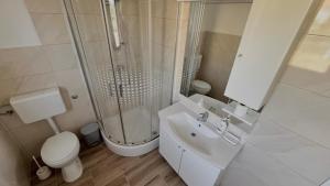 un bagno con doccia, WC e lavandino di Stone & Sun Retreat with Private Pool a Rupalj