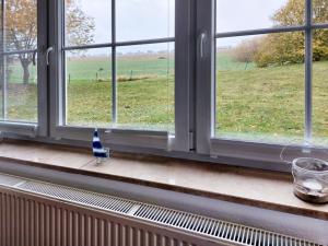 a blue bird sitting on a window sill looking out at a field at Dorow Ferienwohnung in Redewisch
