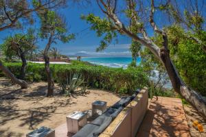 a walkway to the beach with trees and the ocean at Hurricane Beach Hotel in Tarifa