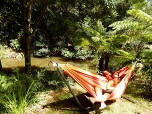 Jardín al aire libre en Purling Brook Falls Gwongorella