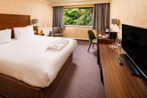 TV o dispositivi per l'intrattenimento presso Mercure Livingston Hotel