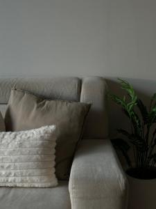 พื้นที่นั่งเล่นของ Entire apartment near train station with pool & views