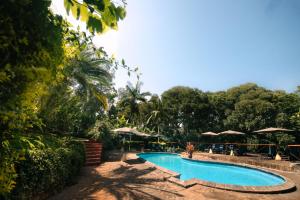 a swimming pool in a resort with umbrellas at Aishi Machame in Moshi