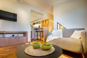 Телевизор и/или развлекательный центр в Patagonia Vista Studio