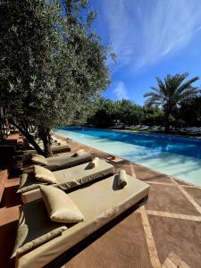 a row of lounge chairs next to a swimming pool at Manzil La Tortue in Douar Caïd Layadi