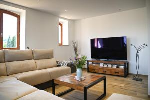 TV a/nebo společenská místnost v ubytování Grande maison de vacances L'Orée des Vignes