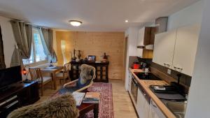 Kuchyň nebo kuchyňský kout v ubytování Large deluxe studio for 2 - Chalet Lovo
